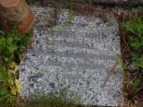 image of grave number 796866